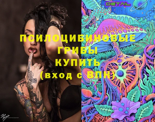 амф Алексин