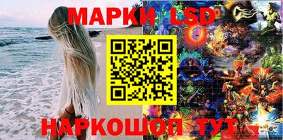 шишки Кимры