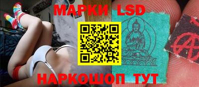 шишки Кимры