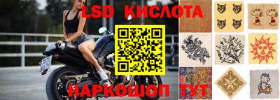 шишки Кимры