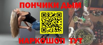 шишки Кимры