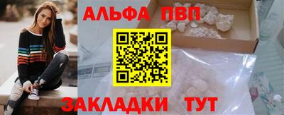 дмт Кингисепп