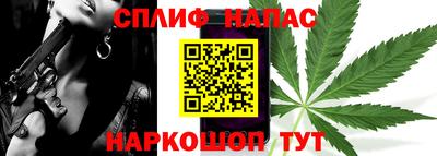дмт Кингисепп