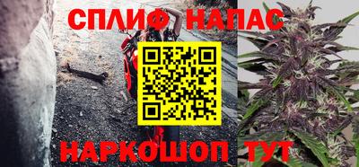 шишки Кимры