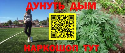 дмт Кингисепп