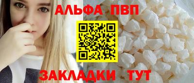 дмт Кингисепп