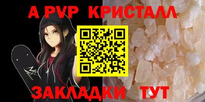 дмт Кингисепп
