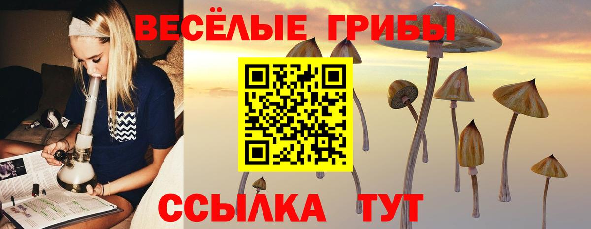 Красногорск  Галлюциногенные грибы Psilocybe  Галлюциногенные грибы Psilocybine cubensis  Вход с VPN 